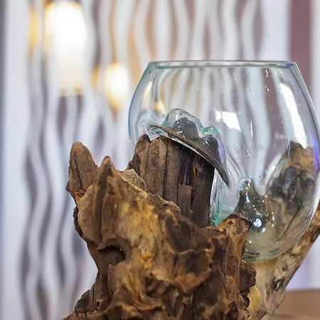 Alon Ideal Pour Vos Ou Sejours Pros Daire Saint-Cyr-sur-Mer